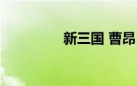 新三国 曹昂（曹昂新传）