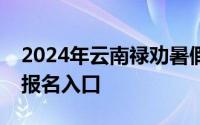 2024年云南禄劝暑假大学生返家乡社会实践报名入口