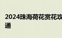 2024珠海荷花赏花攻略 时间+地点+门票+交通