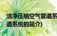 洁净压缩空气管道系统(关于洁净压缩空气管道系统的简介)
