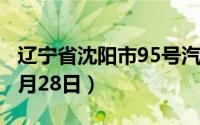 辽宁省沈阳市95号汽油价格查询（2024年06月28日）