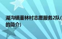 湖沟镇董林村志愿服务2队(关于湖沟镇董林村志愿服务2队的简介)