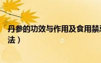 丹参的功效与作用及食用禁忌（丹参的功效与作用及食用方法）