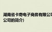 湖南省卡奇电子商务有限公司(关于湖南省卡奇电子商务有限公司的简介)
