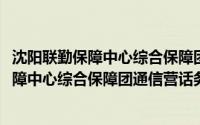 沈阳联勤保障中心综合保障团通信营话务连(关于沈阳联勤保障中心综合保障团通信营话务连的简介)
