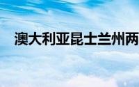 澳大利亚昆士兰州两车相撞 已致3死31伤
