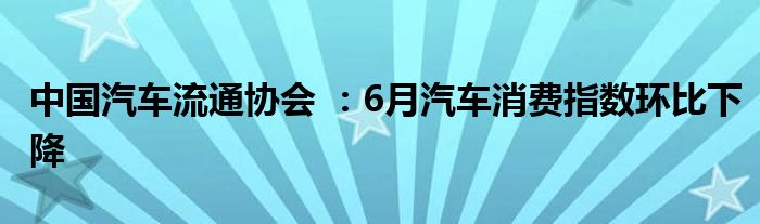 中国汽车流通协会 ：6月汽车消费指数环比下降