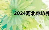 2024河北廊坊养老金上调多少钱
