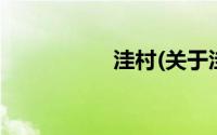 洼村(关于洼村的简介)