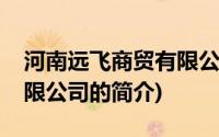 河南远飞商贸有限公司(关于河南远飞商贸有限公司的简介)