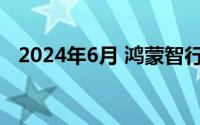 2024年6月 鸿蒙智行共交付新车46141辆