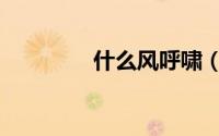 什么风呼啸（什么风呼啸）
