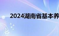 2024湖南省基本养老金是怎么调整的?