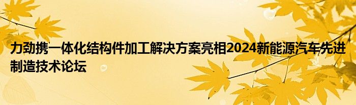 力劲携一体化结构件加工解决方案亮相2024新能源汽车先进制造技术论坛