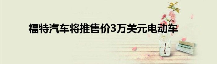 福特汽车将推售价3万美元电动车