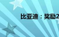 比亚迪：奖励21位线索提供人