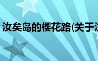 汝矣岛的樱花路(关于汝矣岛的樱花路的简介)