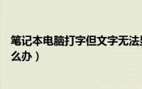 笔记本电脑打字但文字无法显示（笔记本电脑打字不显示怎么办）