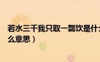 若水三千我只取一瓢饮是什么意思（若水三千只取一瓢饮什么意思）