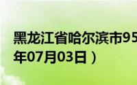 黑龙江省哈尔滨市95号汽油价格查询（2024年07月03日）