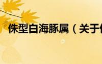 侏型白海豚属（关于侏型白海豚属的简介）
