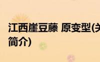 江西崖豆藤 原变型(关于江西崖豆藤 原变型的简介)