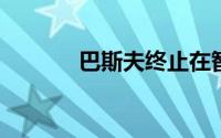 巴斯夫终止在智利的潜在投资