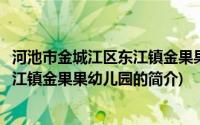 河池市金城江区东江镇金果果幼儿园(关于河池市金城江区东江镇金果果幼儿园的简介)