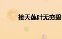 接天莲叶无穷碧 映日荷花别样红