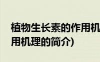 植物生长素的作用机理(关于植物生长素的作用机理的简介)