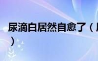尿滴白居然自愈了（尿滴白居然自愈了正常吗）