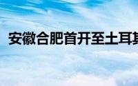 安徽合肥首开至土耳其伊斯坦布尔中欧班列