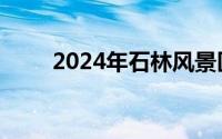 2024年石林风景区游玩攻略一日游
