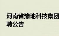 河南省豫地科技集团有限公司2024年社会招聘公告