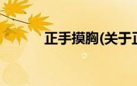 正手摸胸(关于正手摸胸的简介)