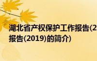 湖北省产权保护工作报告(2019)(关于湖北省产权保护工作报告(2019)的简介)