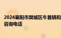 2024襄阳市樊城区牛首镇和太平店镇中小学划片招生范围和咨询电话