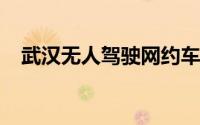 武汉无人驾驶网约车用户：车费非常便宜