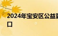 2024年宝安区公益夏令营报名时间+报名入口