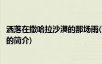洒落在撒哈拉沙漠的那场雨(关于洒落在撒哈拉沙漠的那场雨的简介)