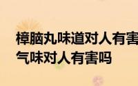 樟脑丸味道对人有害吗 「达人分享」樟脑丸气味对人有害吗