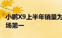小鹏X9上半年销量为13143台为纯电MPV市场第一