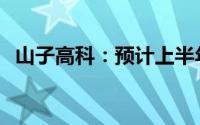 山子高科：预计上半年亏损降至6亿-8亿元
