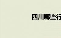 四川哪些行业工资高？