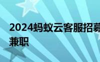 2024蚂蚁云客服招募出行业务热线客服 居家兼职