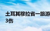 土耳其穆拉省一旅游巴士发生车祸 已致3死33伤