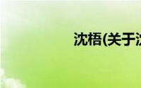 沈梧(关于沈梧的简介)
