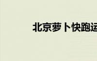 北京萝卜快跑运营时间是几点?
