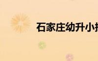 石家庄幼升小报名入口 2024