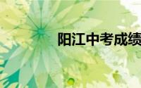 阳江中考成绩查询入口网站